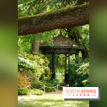 Arboretum de la Vallée-aux-Loups, une balade au milieu des arbres remarquables