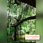 Arboretum de la Vallée-aux-Loups, une balade au milieu des arbres remarquables