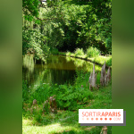 Arboretum de la Vallée-aux-Loups, une balade au milieu des arbres remarquables