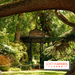 Arboretum de la Vallée-aux-Loups, une balade au milieu des arbres remarquables