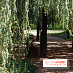 Arboretum de la Vallée-aux-Loups, une balade au milieu des arbres remarquables