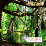 Arboretum de la Vallée-aux-Loups, une balade au milieu des arbres remarquables