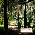 Arboretum de la Vallée-aux-Loups, une balade au milieu des arbres remarquables