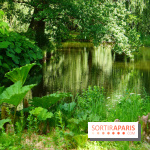 Arboretum de la Vallée-aux-Loups, une balade au milieu des arbres remarquables