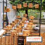 Jardins jardin aux Tuileries 2022