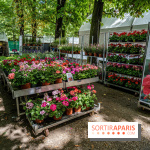 Jardins jardin aux Tuileries 2022