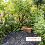 Jardins jardin aux Tuileries 2022