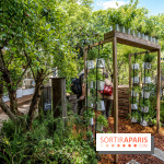 Jardins jardin aux Tuileries 2022