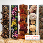 Le salon Révélations 2022, les photos 