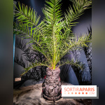 Faut-il voyager pour être heureux ?, l'exposition dépaysante de l'Espace Fondation EDF - nos photos