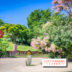 Le Musée de la Sculpture en plein air : une balade artistique gratuite au cœur de Paris
