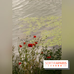 l'Île des Impressionnistes à Chatou