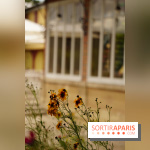 l'Île des Impressionnistes à Chatou