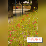 l'Île des Impressionnistes à Chatou