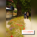 l'Île des Impressionnistes à Chatou