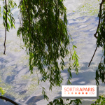 l'Île des Impressionnistes à Chatou