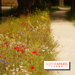 l'Île des Impressionnistes à Chatou