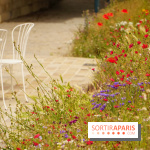 l'Île des Impressionnistes à Chatou