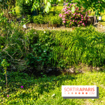 La promenade des petits ponts dans la vallée de Chevreuse -  A7C3853