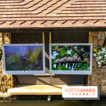 La promenade des petits ponts dans la vallée de Chevreuse -  A7C3880