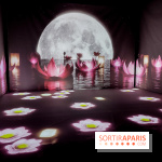 Exposition immersive autour de la Fête des lanternes, nos photos