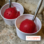 Les glaces de Jacques Génin à Paris