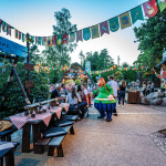 Le Banquet Gaulois au Parc Asterix 