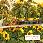 Plantes pour Tous, les prochaines ventes de plantes à partir de 2€ à Paris