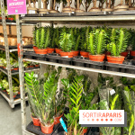 Plantes pour Tous, les prochaines ventes de plantes à partir de 2€ à Paris