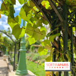 Balade sur la Petite Ceinture du 17e : la promenade Pereire