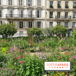 Balade sur la Petite Ceinture du 17e : la promenade Pereire