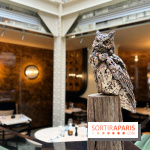 Grand Duc - Eté 2022