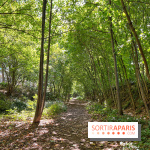 Balade sur la Petite Ceinture du 14 au 16e arrondissement : un sentier nature dépaysant