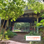 Balade sur la Petite Ceinture du 14 au 16e arrondissement : un sentier nature dépaysant