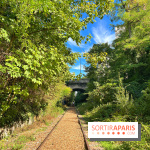 Balade sur la Petite Ceinture du 14 au 16e arrondissement : un sentier nature dépaysant