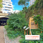 Balade sur la Petite Ceinture du 14 au 16e arrondissement : un sentier nature dépaysant