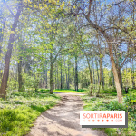 Visuels Paris - forêt bois de Boulogne nature soleil printemps