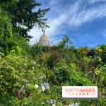Visuels Paris - montmartre sacré cœur