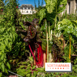 Le Potager du Roi de Versailles, Journées du Patrimoine 
