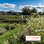 Le Potager du Roi de Versailles, Journées du Patrimoine 