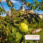 Le Potager du Roi de Versailles, Journées du Patrimoine 