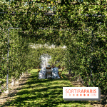 Le Potager du Roi de Versailles, Journées du Patrimoine 