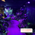 Forêt Bioluminescente - Serre Papillons