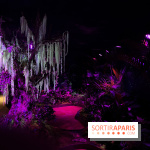 Forêt Bioluminescente - Serre Papillons