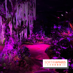 Forêt Bioluminescente - Serre Papillons