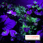 Forêt Bioluminescente - Serre Papillons