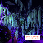 Forêt Bioluminescente - Serre Papillons