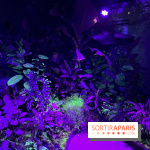 Forêt Bioluminescente - Serre Papillons