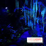 Forêt Bioluminescente - Serre Papillons