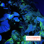 Forêt Bioluminescente - Serre Papillons